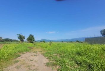 Lote de Terreno en  Pueblo Santiago Tepetlapa, Tepoztlán