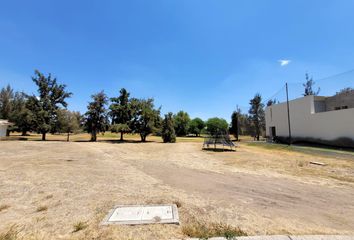 Lote de Terreno en  Rancho O Rancheria Salto De León, Coroneo