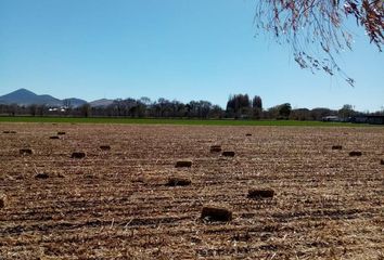 Lote de Terreno en  San Antonio, Cuauhtémoc, Chihuahua