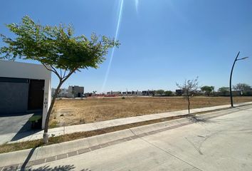 Lote de Terreno en  Los Pirules, León