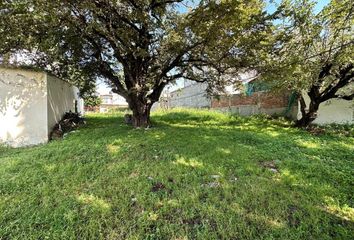 Lote de Terreno en  Otilio Montaño, Jiutepec, Morelos