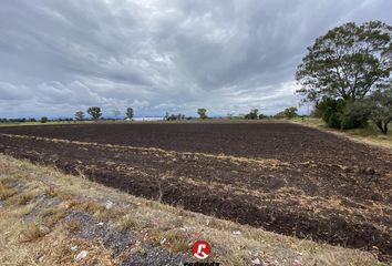 Lote de Terreno en  San Marcos, Guerrero