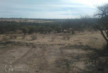 Lote de Terreno en  Rancho O Rancheria La Congoja, San José De Gracia, Aguascalientes