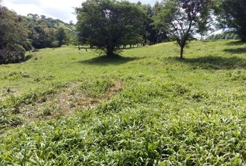 Lote de Terreno en  Xico, Veracruz