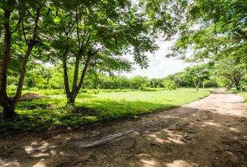 Lote de Terreno en  Pueblo Conkal, Conkal