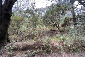 Lote de Terreno en  Coapanoaya, Ocoyoacac