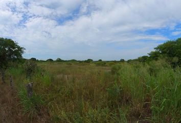 Lote de Terreno en  Manlio Fabio Altamirano, Veracruz