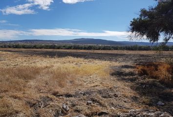 Lote de Terreno en  Ejido San Juan Del Llanito, Apaseo El Alto