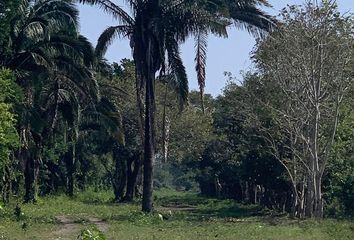 Lote de Terreno en  Pueblo Medellin De Bravo, Medellín