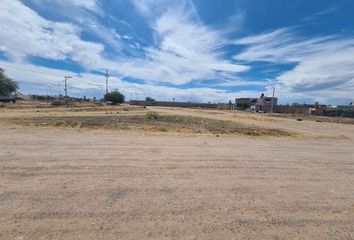 Lote de Terreno en  Barcelona, Municipio De Durango