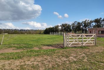 Terrenos en  San Pedro, Partido De San Pedro