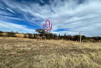 Lote de Terreno en  San Francisco Del Oro, Chihuahua