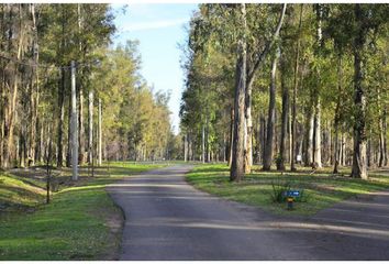 Terrenos en  Oliveros, Santa Fe