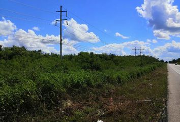 Lote de Terreno en  Sisal, Valladolid, Yucatán