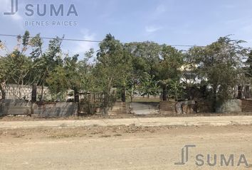 Lote de Terreno en  Petrolera, Altamira