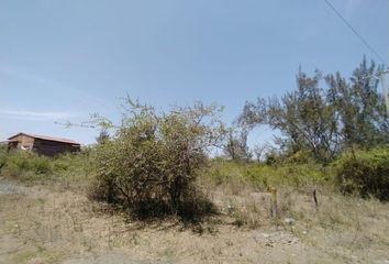 Lote de Terreno en  Veracruz Centro, Municipio Veracruz