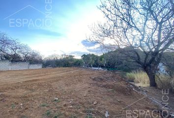 Lote de Terreno en  Chamilpa, Cuernavaca, Morelos