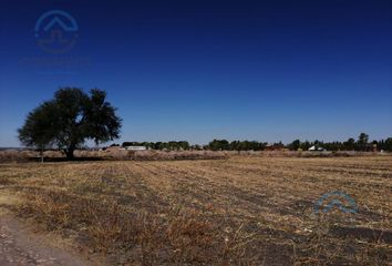 Lote de Terreno en  Rancho O Rancheria Salto De León, Coroneo