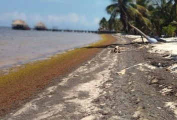 Lote de Terreno en  Mahahual, Othón P. Blanco