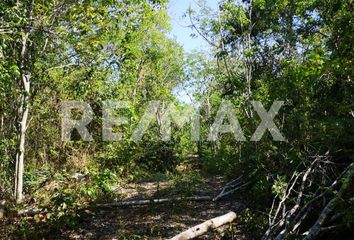 Lote de Terreno en  Coba, Tulum