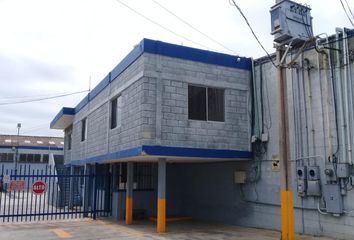 Oficina en  Miramar, Altamira