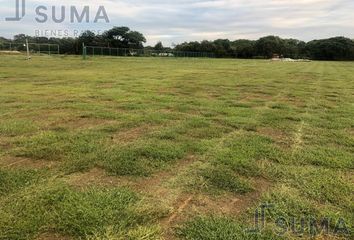 Lote de Terreno en  Monte Alto, Altamira