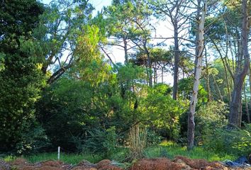 Terrenos en  Otro, Pinamar