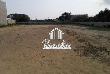 Lote de Terreno en  La Pedrera, Altamira