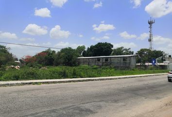 Lote de Terreno en  Sisal, Valladolid, Yucatán