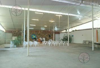 Nave en  Antonio Barona Centro, Cuernavaca, Morelos