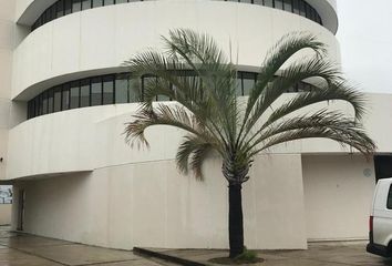 Oficina en  Loma De Rosales, Tampico
