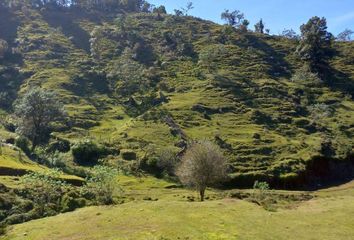 Lote de Terreno en  Sontecomaco, Teziutlán