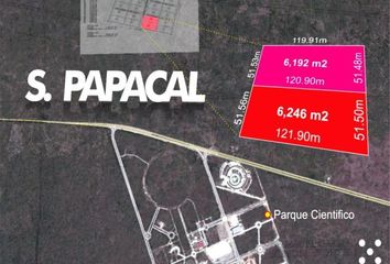 Lote de Terreno en  Sierra Papacal, Mérida, Yucatán