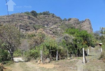 Lote de Terreno en  Carretera Ixcatepec-santo Domingo, Santo Domingo Ocotitlán, Tepoztlán, Morelos, 62524, Mex