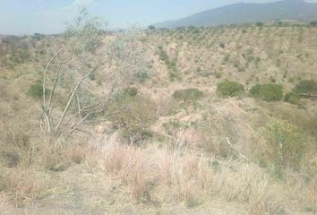 Lote de Terreno en  Congregación Ojocaliente, Calvillo