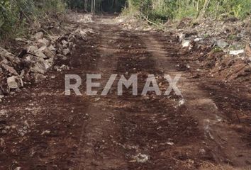 Lote de Terreno en  Coba, Tulum