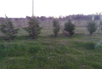 Parcela en  Litueche, Cardenal Caro