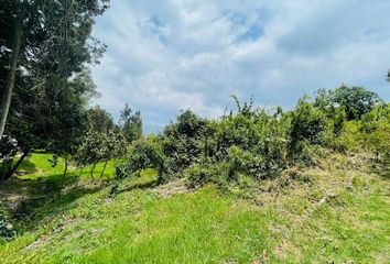 Lote de Terreno en  Sopó, Cundinamarca