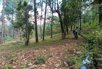 Lote de Terreno en  Avándaro, Valle De Bravo