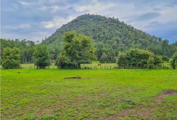 Lote de Terreno en  Avándaro, Valle De Bravo