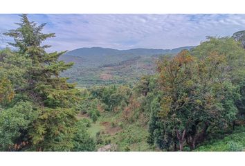 Lote de Terreno en  La Candelaria, Valle De Bravo