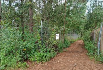 Lote de Terreno en  Avándaro, Valle De Bravo