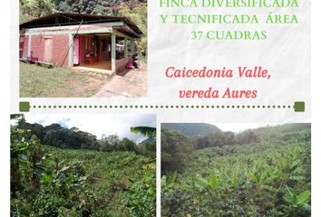 Villa-Quinta en  Caicedonia, Valle Del Cauca