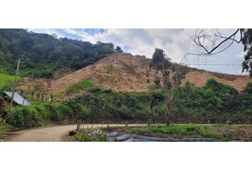 Villa-Quinta en  San Luis, Antioquia