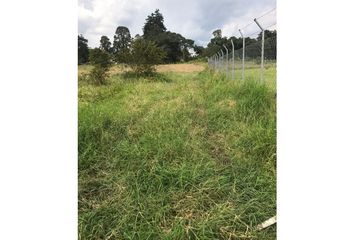 Lote de Terreno en  Sector Centro, Armenia