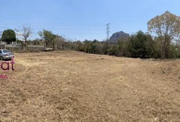 Lote de Terreno en  Pueblo Santo Domingo Ocotitlán, Tepoztlán