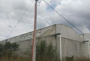 Lote de Terreno en  Unión De Tula, Jalisco