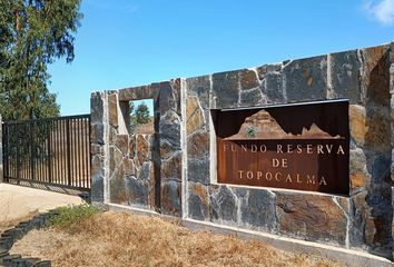 Parcela en  Navidad, Cardenal Caro