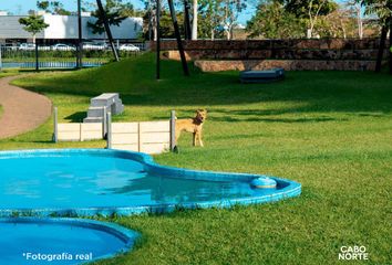 Lote de Terreno en  Algarrobos Desarrollo Residencial, Mérida, Yucatán