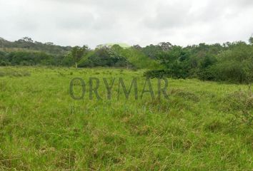 Lote de Terreno en  Tampico Alto, Veracruz